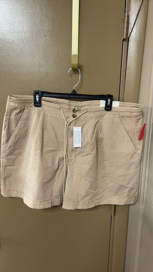 American Eagle Shorts 20