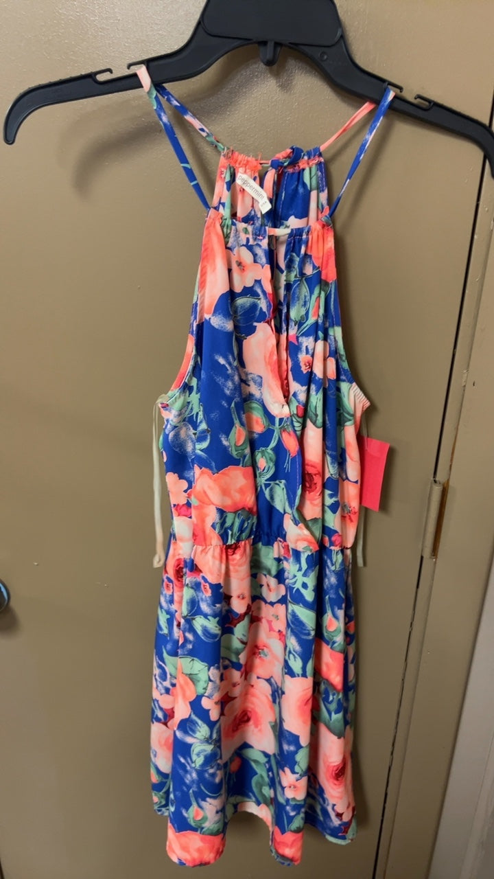 Dress Small