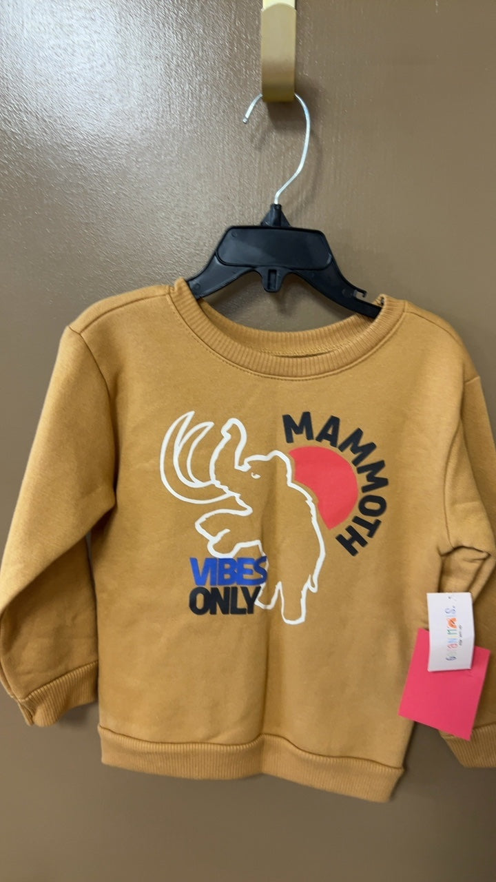 Sweater Youth 3t