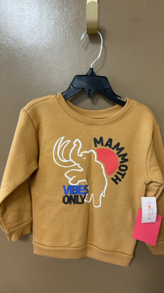 Sweater Youth 3t