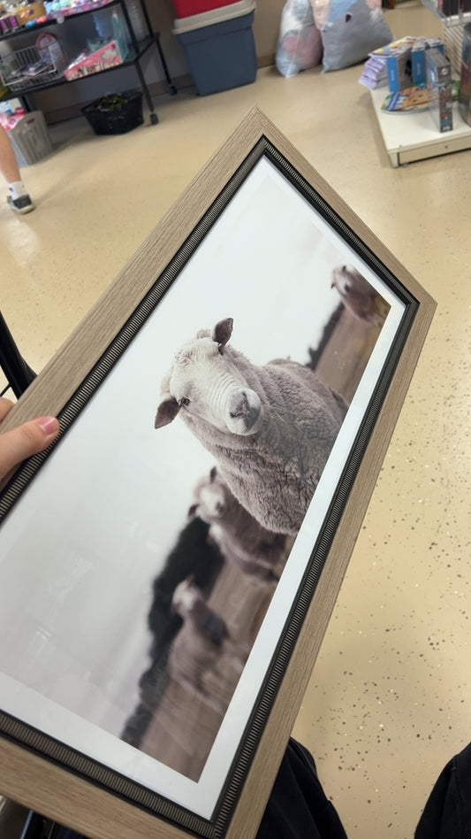 Picture Frame Sheep
