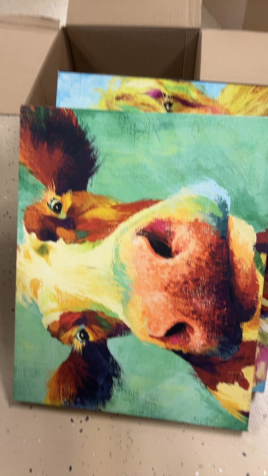 Paintings Cow