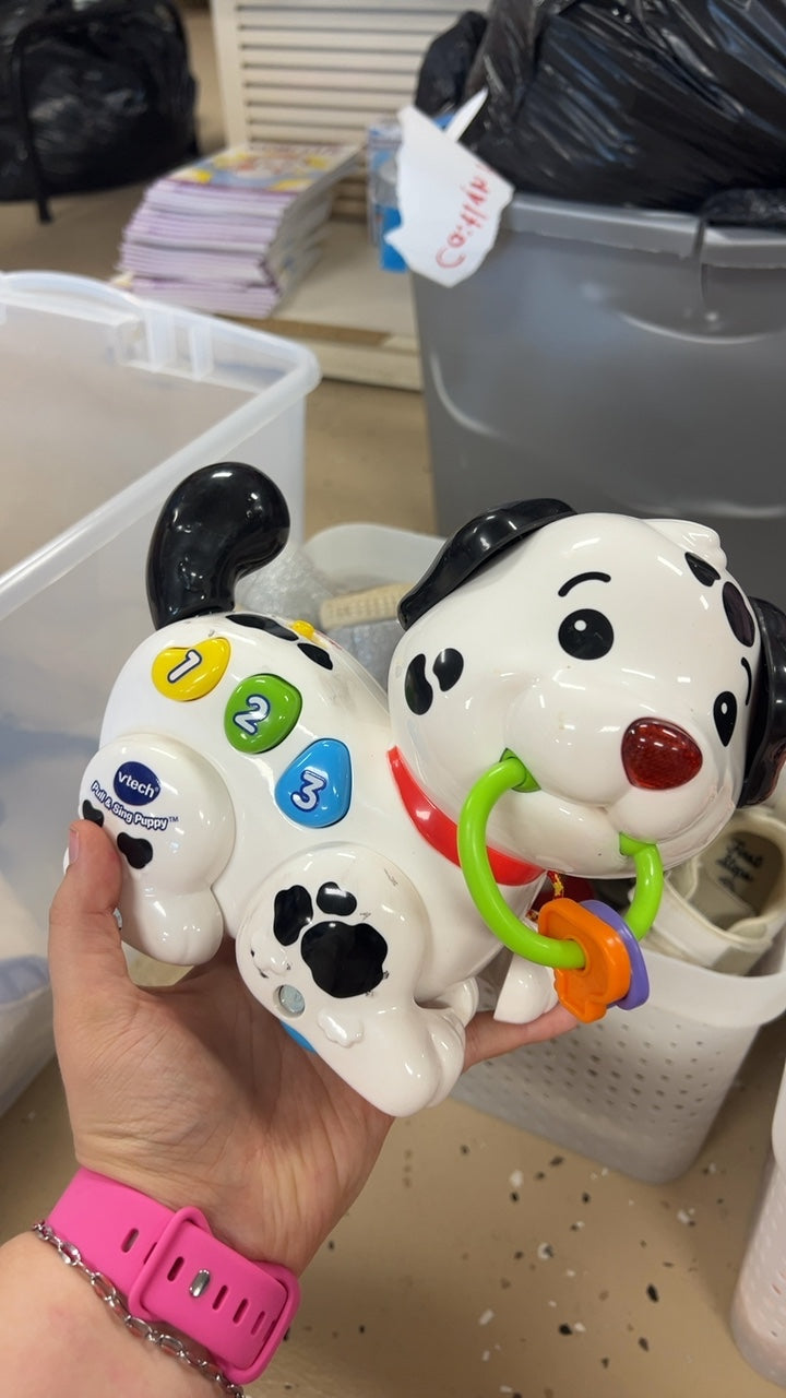 Vtech dog