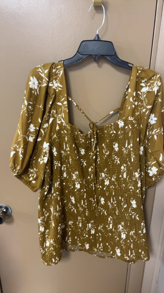 Blouse 3X