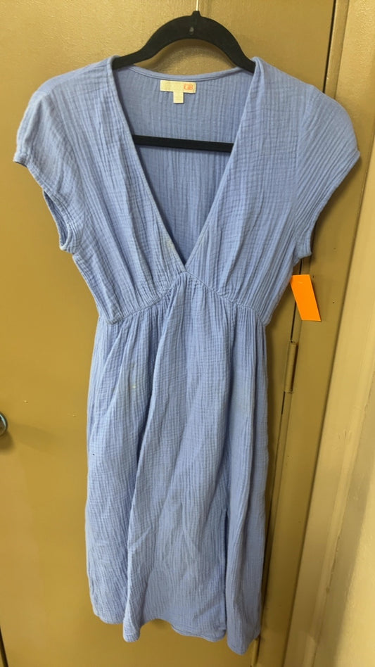 CB Dress Small