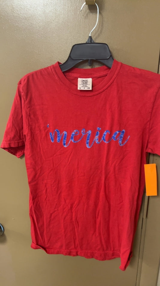 Comfort Colors T-Shirt Small