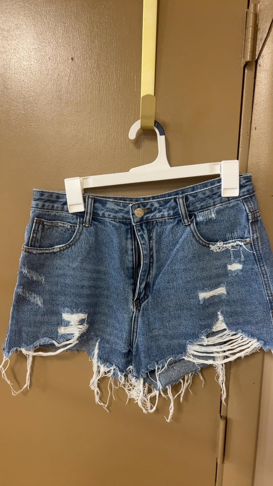 Shorts Large