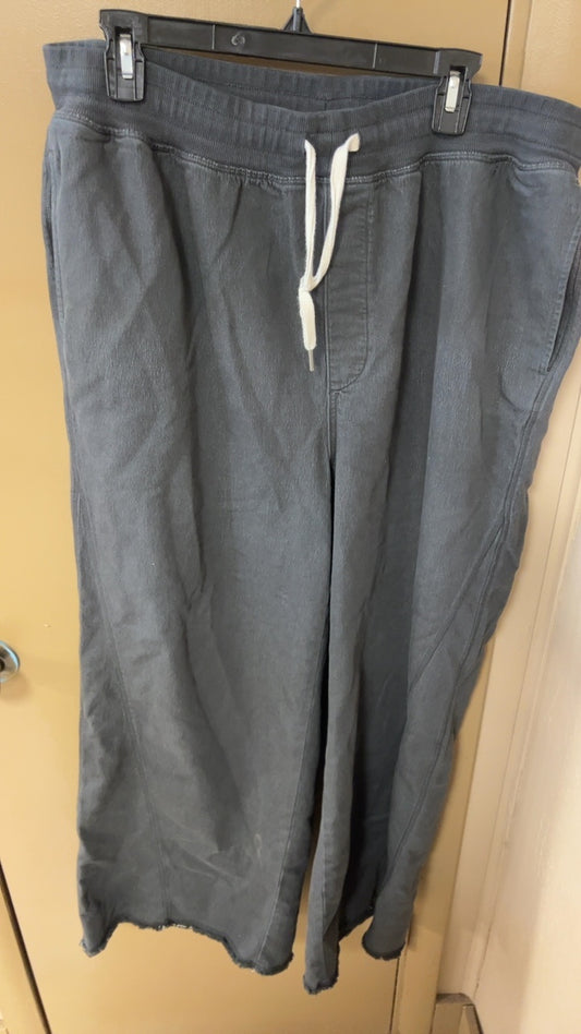 Aerie Pants XL