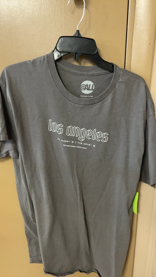 All T-Shirt Large Gray