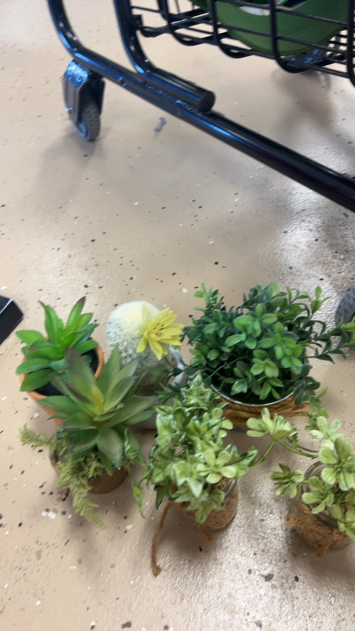 Plant Green
