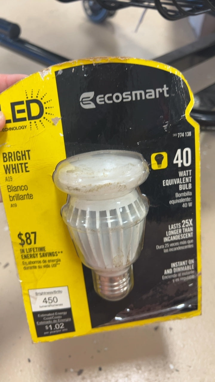 Ecosmart Light Bulb White