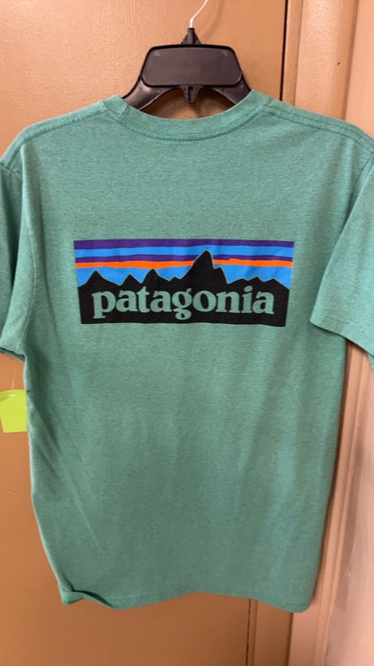 Patagonia T-Shirt MENS MEDIUM Green