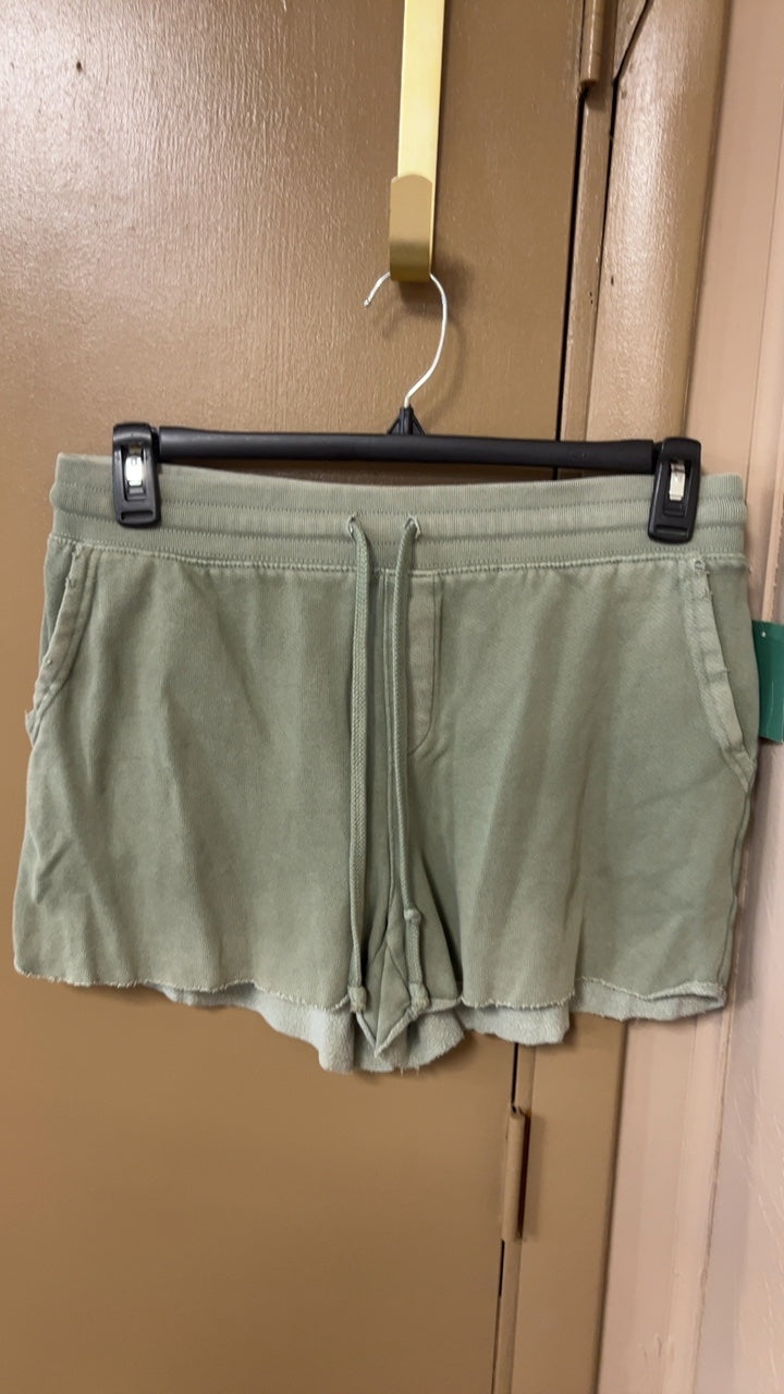 Aerie Shorts Medium Light Green