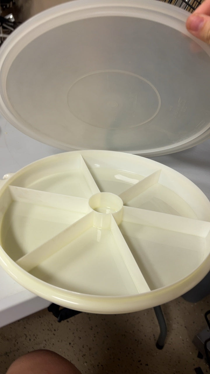 Tupperware Beige