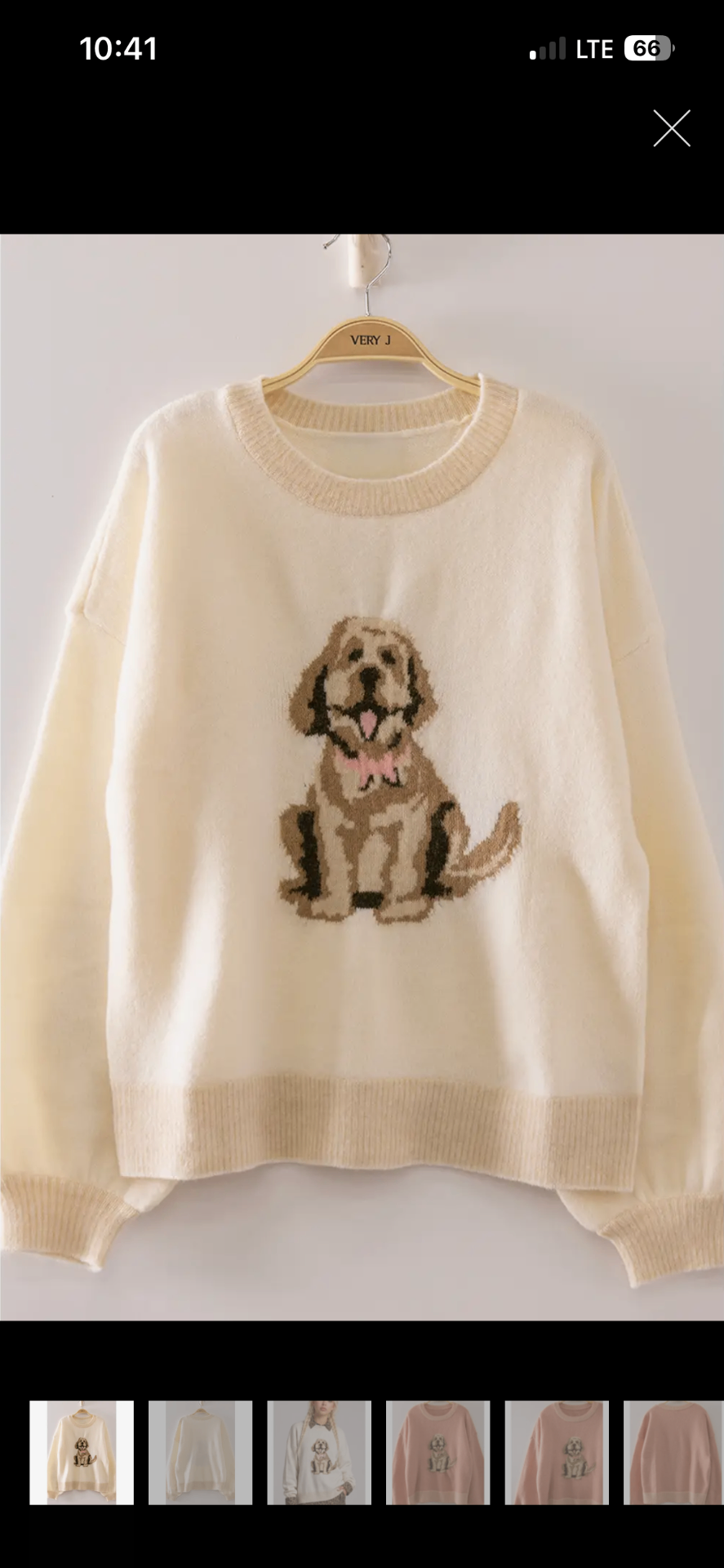 A Girl’s Best Friend Sweater 