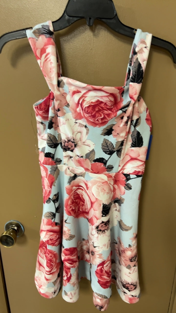 Dress Medium Light blue with pink and black floral pattern