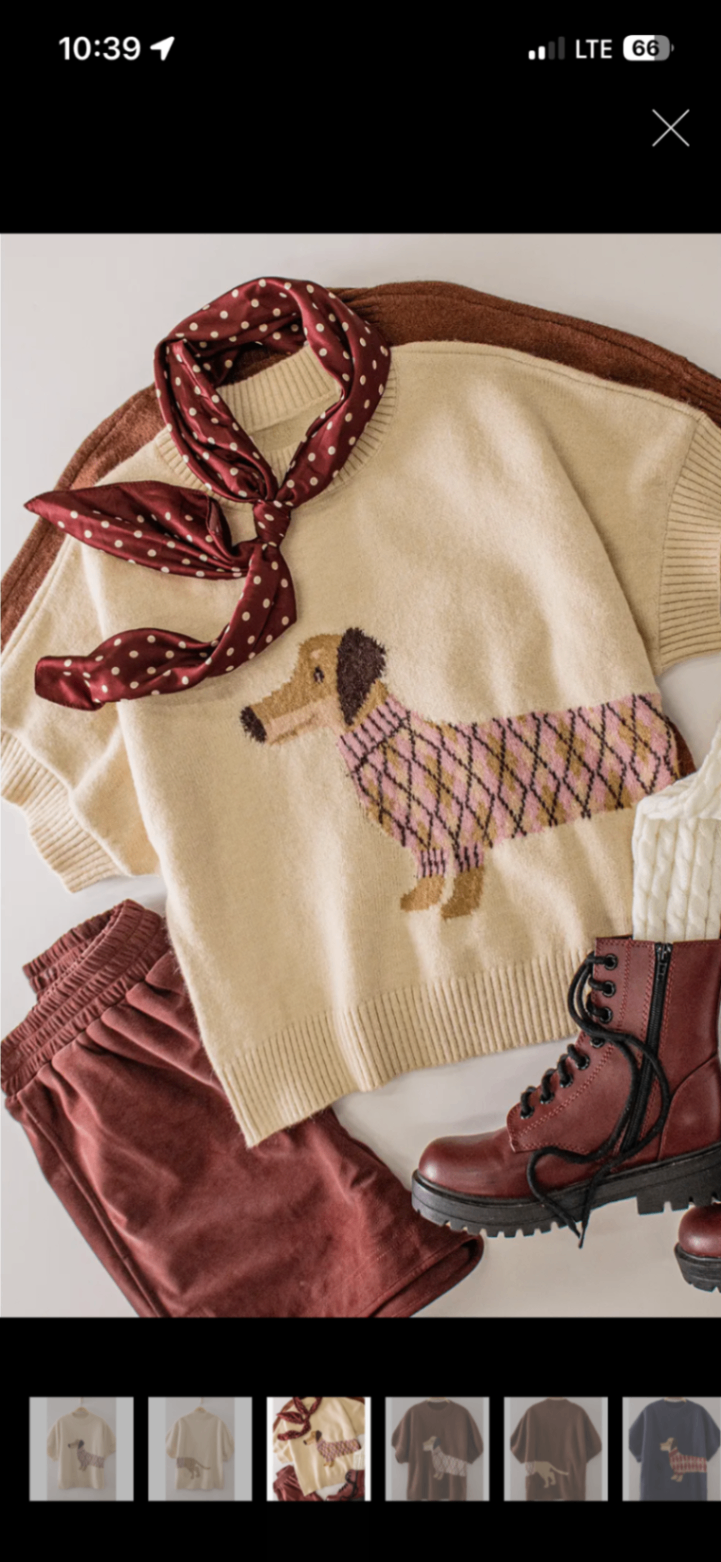 Dog Days Short Sleeve Sweater