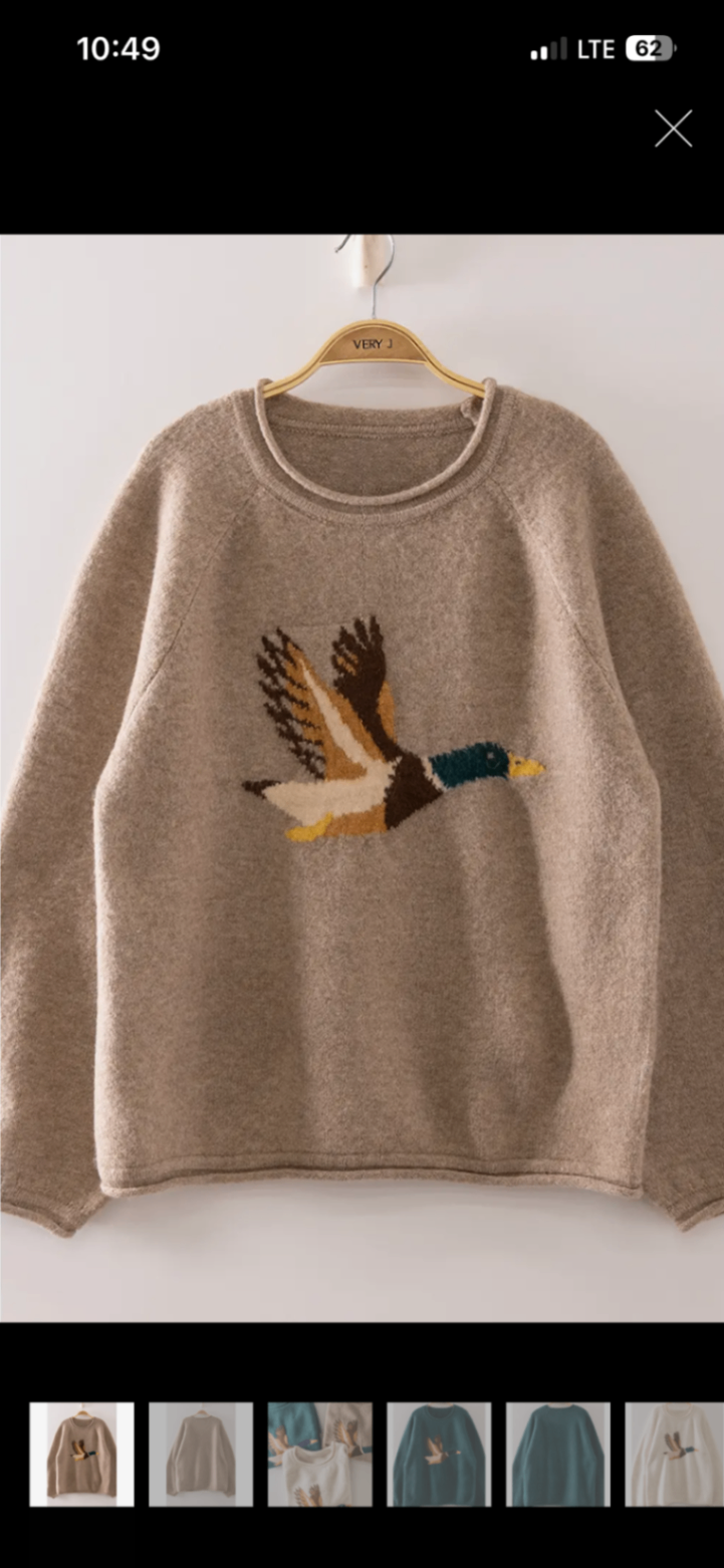 Flying South Sweater 