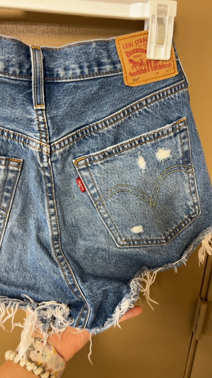Shorts 28 Waist Blue