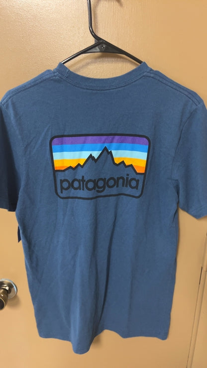 Patagonia T-Shirt MENS SMALL Blue