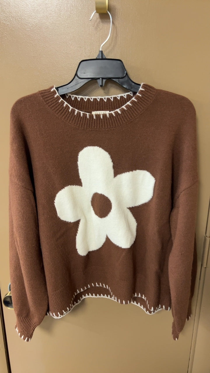 Sweater Large Brown